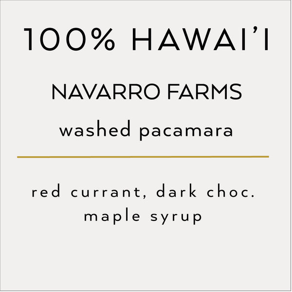 100% Hawai'i Ka'u Pacamara