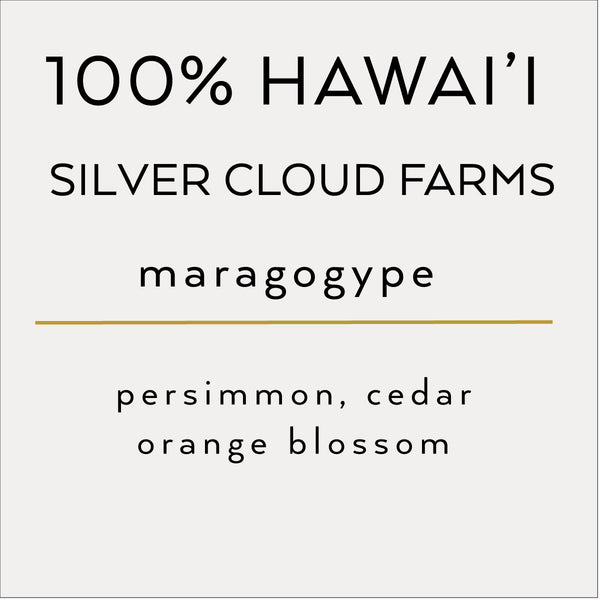 100% Hawai'i Ka'u Maragogype