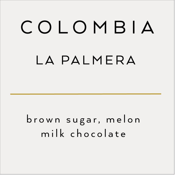 Colombia Palmera