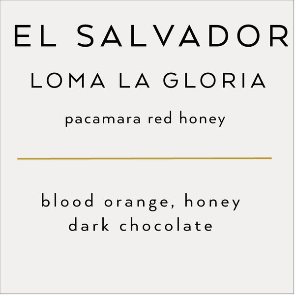 El Salvador Pacamara Red Honey