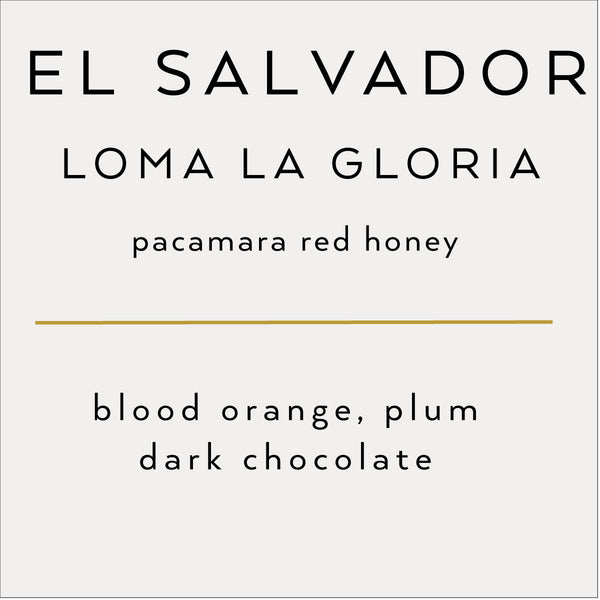 El Salvador Pacamara Red Honey