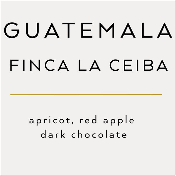 Guatemala Ceiba